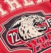 Wildcat Varsity Avirex Leather Bomber Jacket - Image 7